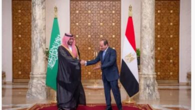 تشجيع و حماية الاستثمارات المتبادلة بين مصر و السعودية وموقف العملة المحلية للتعامل مع البلدين