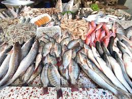 أسعار الأسماك في سوق العبور