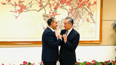 حوار أستراتيجى مصرى صينى