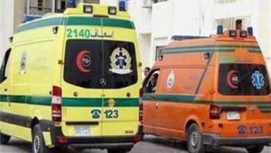طعن سائق في مشاجرة على أولوية المرور بشبين القناطر