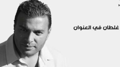 غلطان اغنية لاتخرج الا من رامي صبري
