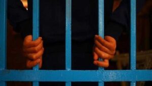 تأجيل محاكمة أبو الفتوح وقصاص إلى فبراير