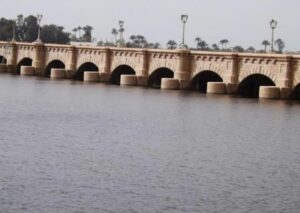 لغز الجثمانين في كفر الشيخ يفضح مخطط عائلي مرعب